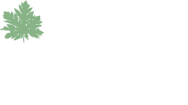 ラ・パパイヤベール(la papaye verte)
